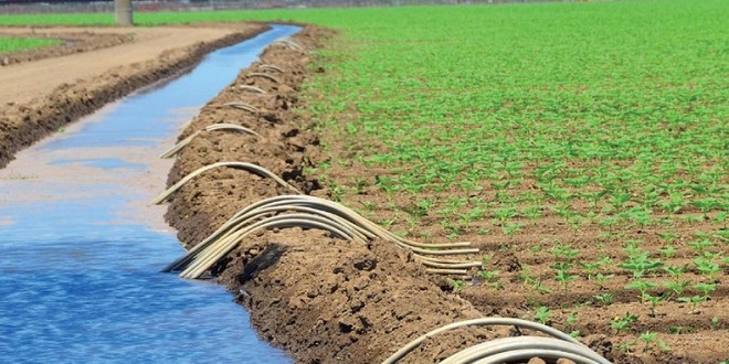 Aménagements hydro-agricoles